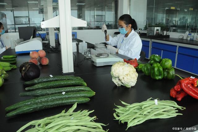 崇州食品送检机构怎么选？从资质到报告验收的四步核实法